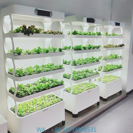 Hydroponic Automated Grow Syst - Diy Home Automation System 评论和价格